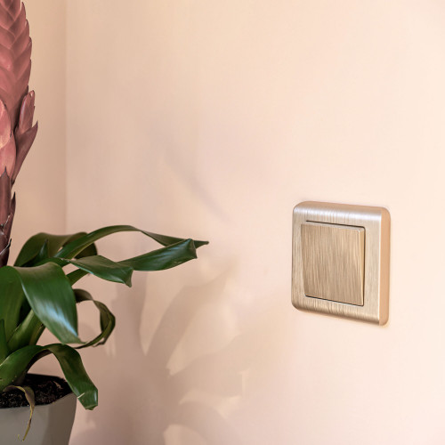 Купить Рамка из поликарбоната на 1 пост Stream шампань в rum24.ru фото: 5