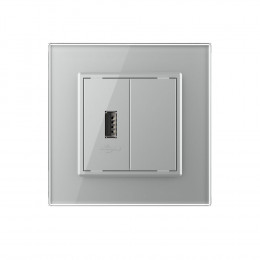 Розетка USB LIVOLO с блоком питания 5В 2.1А серая VL-C791USB-15