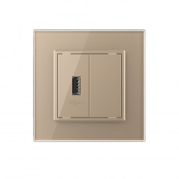 Розетка USB LIVOLO с блоком питания 5В 2.1А золотая VL-C791USB-13