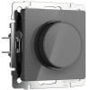 Купить Диммер (графит акрил) Werkel W1142044 в rum24.ru
