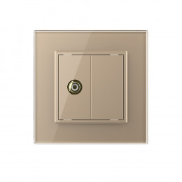 Розетка мультимедийная VIDEO RCA LIVOLO золотая VL-C791VD-13