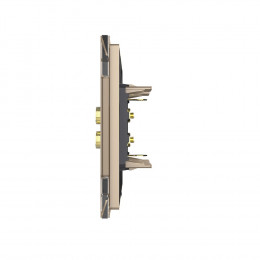 Розетка акустическая LIVOLO золотая VL-C791A-13