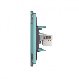 Розетка интернет одинарная RJ-45 кат.6 Livolo, 1 пост, цвет зеленый