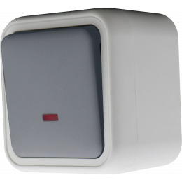 Переключатель 1-клавишный накладной с подсветкой, цвет серый, IP55, серия W55 DIP30640