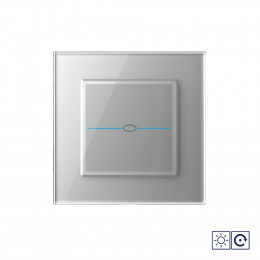 Одноклавишный сенсорный импульсный выключатель Livolo Quadro сухой контакт, 1 пост, цвет серый