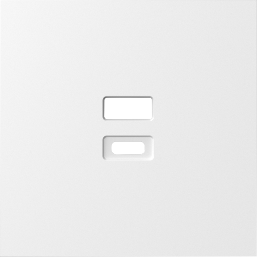 Купить Накладка для розеток USB, матовый белый, серия S08 DS28633 в rum24.ru