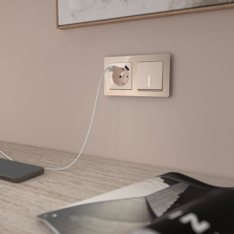 Выключатель одноклавишный с подсветкой (айвори акрил) Werkel W1110143