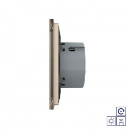 Двухклавишная радиоуправляемая сенсорная кнопка Livolo сухой контакт, 1 пост, Золотой