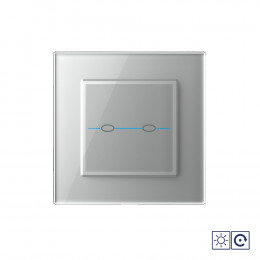 Двухклавишный сенсорный импульсный выключатель Livolo Quadro сухой контакт, 1 пост, цвет серый