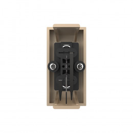 Розетка мультимедийная AUDIO RCA LIVOLO золотая BB-C7-1AD-13 (механизм)