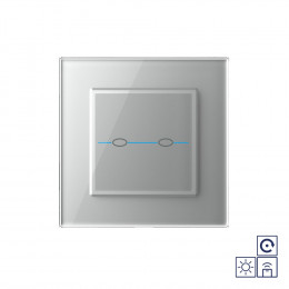 Сенсорный импульсный радиоуправляемый выключатель Livolo Quadro сухой контакт 2 клавиши Серый