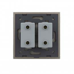 Розетка с двумя USB type-A, блоком питания 5В 2.1А Livolo, 1 пост, цвет шампань