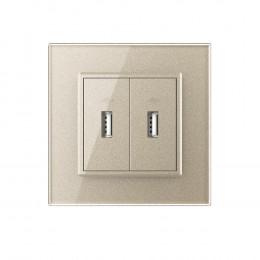 Розетка с двумя USB type-A, блоком питания 5В 2.1А Livolo, 1 пост, цвет шампань