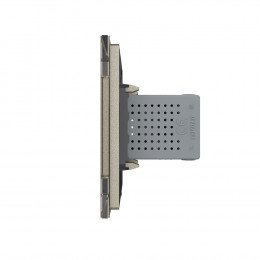 Розетка с двумя USB type-A, блоком питания 5В 2.1А Livolo, 1 пост, цвет шампань