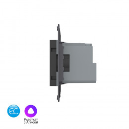 Розетка электрическая с заземлением защитными шторками 16A Livolo EC, цвет черный (механизм)