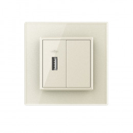 Розетка с одним USB type-A, блоком питания 5В 2.1А Livolo, 1 пост, цвет жемчужный