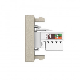 Розетка интернет RJ-45 кат. 6 Livolo, цвет шампань (механизм)