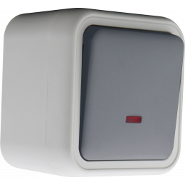 Выключатель звонкового типа 1-клавишный накладной, с подсветкой, цвет серый, IP55, серия W55 DIP35140