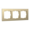 Купить Рамка из металла на 3 поста Аluminium шампань алюминий в rum24.ru