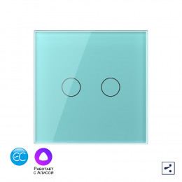 Двухклавишный проходной умный сенсорный выключатель Livolo EC, 1 пост, цвет зеленый VL-C702SZ2-18