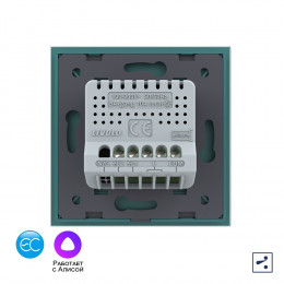 Двухклавишный проходной умный сенсорный выключатель Livolo EC, 1 пост, цвет зеленый VL-C702SZ2-18