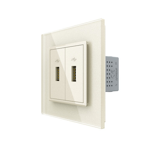 Купить Розетка с двумя USB type-A, блоком питания 5В 2.1А Livolo, 1 пост, цвет жемчужный в rum24.ru