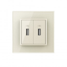 Розетка с двумя USB type-A, блоком питания 5В 2.1А Livolo, 1 пост, цвет жемчужный