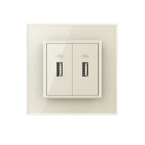 Купить Розетка с двумя USB type-A, блоком питания 5В 2.1А Livolo, 1 пост, цвет жемчужный в rum24.ru фото: 2