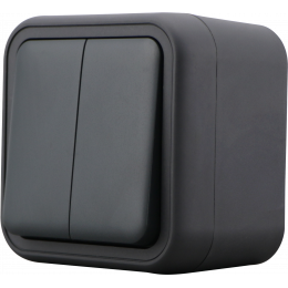 Переключатель 2-клавишный накладной, цвет антрацит, IP55, серия W55 DIP20828